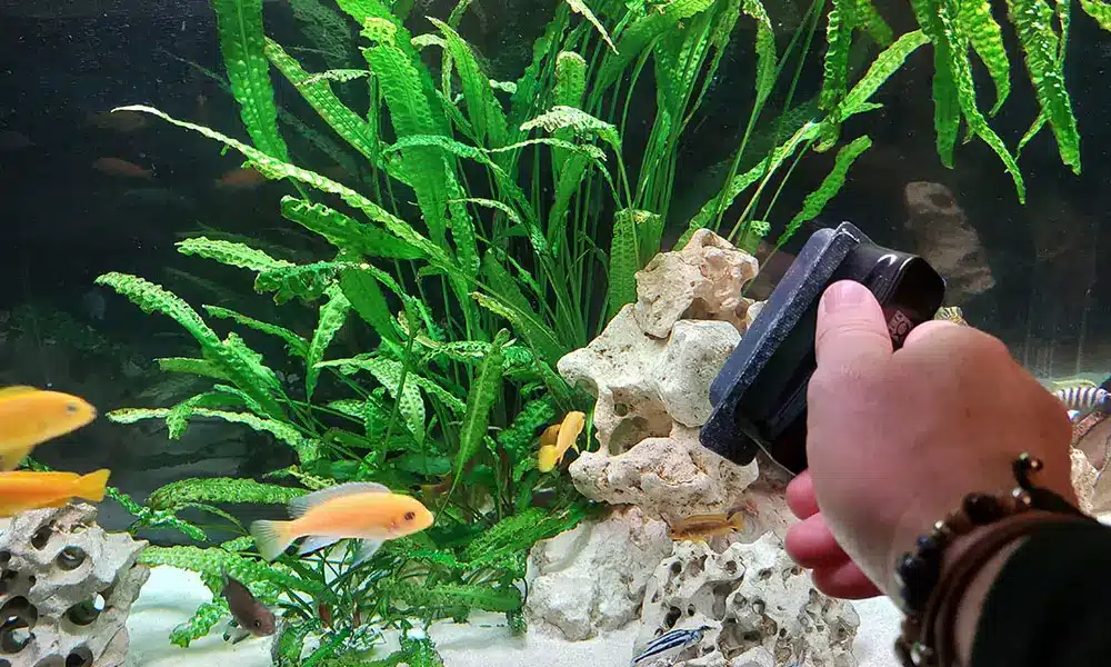 nettoyage aquarium 1000x600 Aquarium Parfait