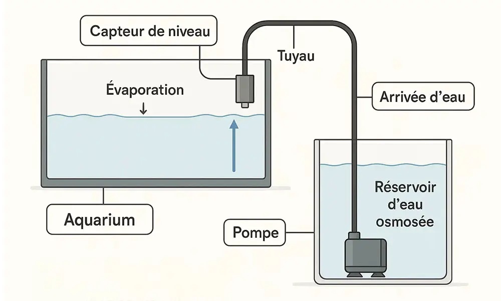 Osmolateur 1000x600 Aquarium Parfait Osmolateur auqarium eau de mer