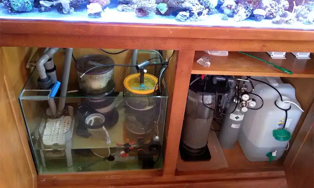 décantation bis décantation aquarium eau de mer