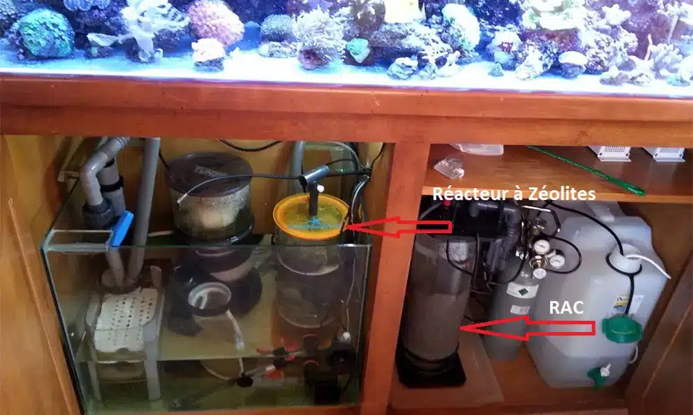 Réacteurs aquarium eau de mer ter 1000x600 RAC aquarium eau de mer