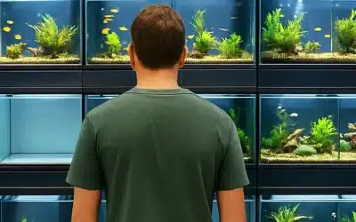 Quel aquarium pour débuter en eau douce ? Les secrets d’un départ réussi