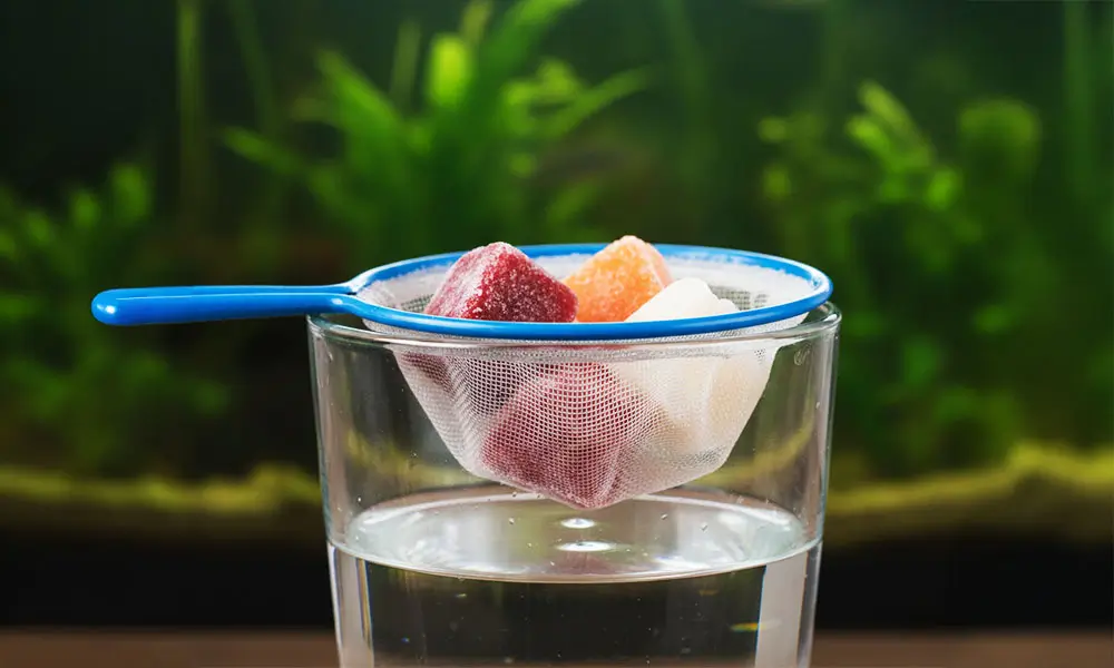 Nourriture congelée pour poissons d'aquarium