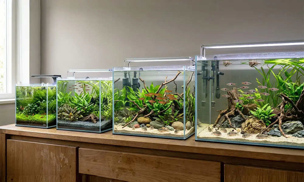 comparatif aquariums
